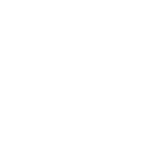 Dynacons